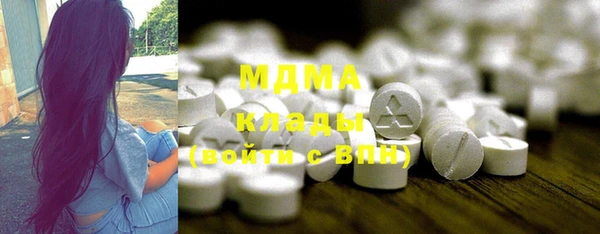 молекула духа Бородино