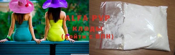 молекула духа Бородино