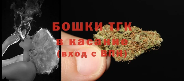 молекула духа Бородино