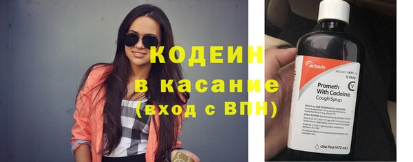 молекула духа Бородино