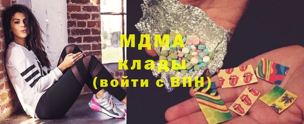молекула духа Бородино